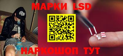прущие крисы Партизанск