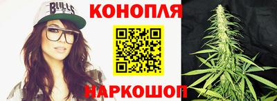 прущие крисы Партизанск