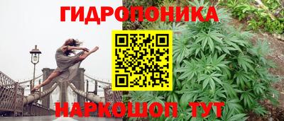 spice Первоуральск