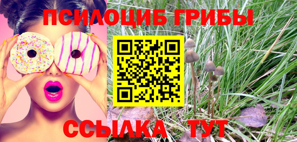 Псилоцибиновые грибы Magic Shrooms  Псилоцибиновые грибы мухоморы  Свободный  Вход с VPN 