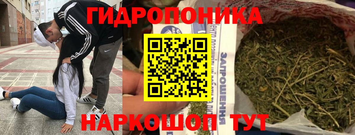 Каннабис ГИДРОПОН Свободный